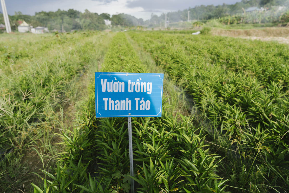 Gìn giữ tinh hoa – Phát triển bền vững